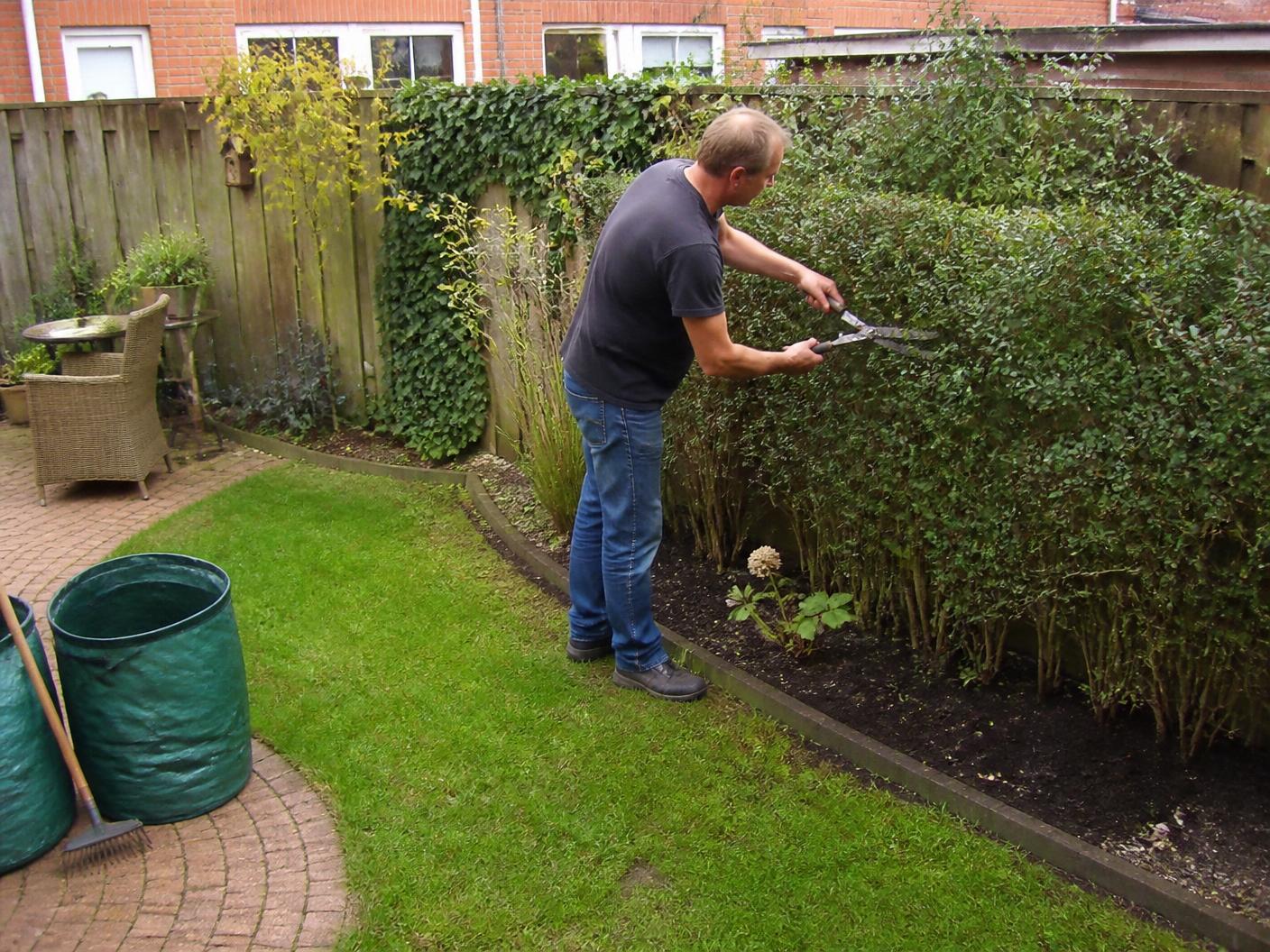 Tuin